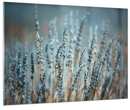 Quadro su Vetro 100x70cm Stampe da Parete in Vetro Lavanda Lama Fiore Grandi Decorazione Murale Camera da Letto Cucina 1 pezzo Quadri Moderni Soggiorno Grafica Immagini Wall Art GAA100x70-4986