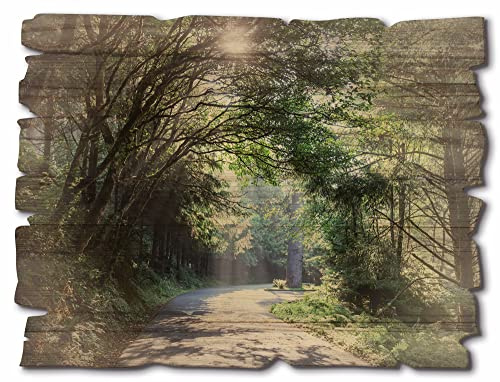 ARTland Wanddeko Bild aus Holz Holzbild vintage Deko 40x30 cm Wald Landschaft Bäume Frühling Natur Landhausstil Sonne U1TD