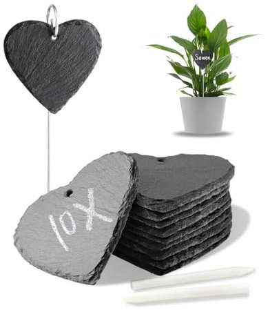 Lot de 10 étiquettes pour plantes en ardoise avec tige en métal - Pour l'extérieur - Résistant aux intempéries - Avec stylo à craie