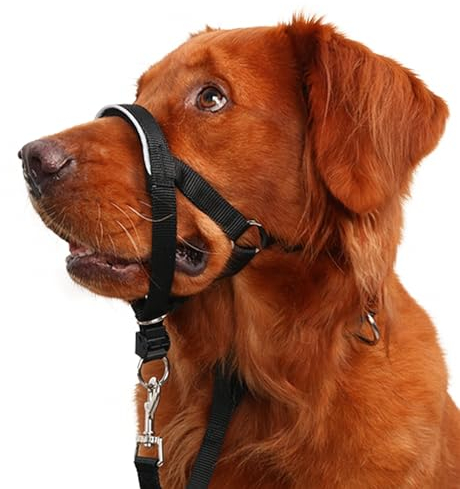 Halfter für Hunde, kein Ziehen, Hundeleine für kleine, mittelgroße und große Hunde, Hundekopfhalfter,30.5 cm), Schwarz)