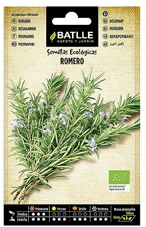 Semillas Batlle Romero - Rosmarinus officinalis - ECO