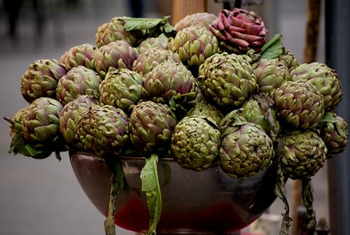 Semi di Carciofo Romanesco, Cynara Scolymus, Varietà Senza Spine e privo di peluria interna