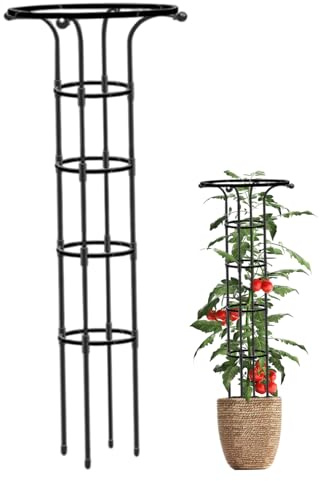 AwnsIMfreien Obelisco da Giardino, Traliccio da Giardino per Piante Rampicanti, Traliccio di Rose a Forma di Ombrello da 61 Pollici, Obelisco Verticale in Metallo Antiruggine per Esterno