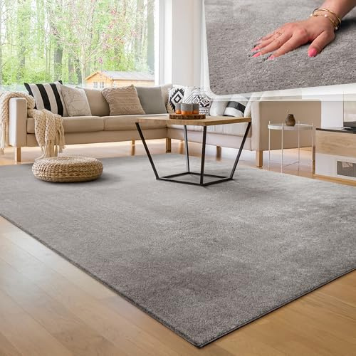 Paco Home Tapis Moderne Doux Salon À Poils Courts Lavable Fluffy Uni Effet Fourrure Intemporel Élégant Antidérapant Facile À Entretenir, Dimension:240x340 cm, Couleur:Gris