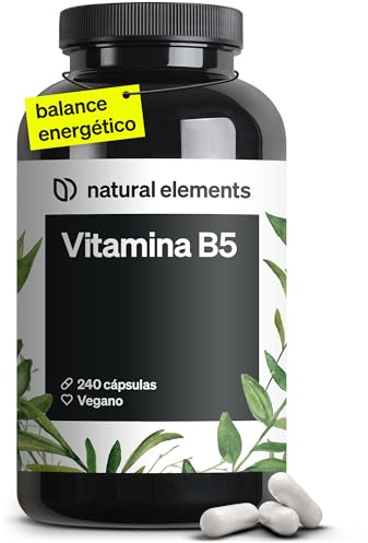 natural elements Vitamin B5 – 240 Kapseln - hochdosierte 500 mg Pantothensäure – vegan – in Deutschland produziert & laborgeprüft