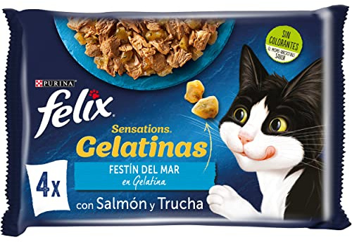 FELIX Sensations, våt mat för vuxna katter, gelé, lax- och öringsortiment, 12-pack med 4 kuvert på 85 g (48 kuvert)
