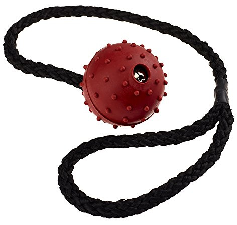 Classic Pet Products Pimple Ball on a Rope, 50 mm, Red
