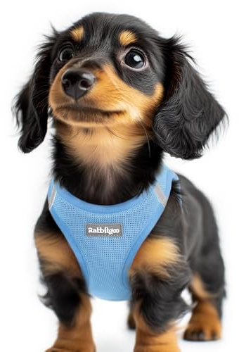 rabbitgoo Dog Harness Small Dog, Step-in Soft Mesh Puppy Harness with Reflective Strips, Lightweight Breathable Pet Vest for Walking Training, Light Blue, XXS