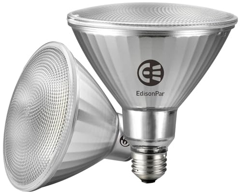 EdisonPar Full-Glass PAR38 LED Flood Light Bulbs Outdoor/Indoor Equivalent 300 Watt, 4000 Lumens Ultra Bright, Non-Dimmable Waterproof 5000K Daylight, 2-Pack