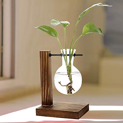MOTUZP Water Planting Glass Vase,Clear Glass Vase Hanging Hydroponics Plants Home Garden Plant Terrarium with Retro Solid Wooden Stand for