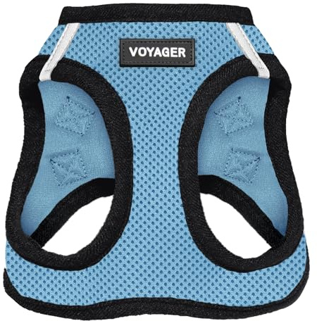 Voyager Step-In Air Dog Harness - All Weather Mesh, Reflective, No Pull Harness for Small, Medium Dogs, Cats - Secure with Hook & Loop Fastener, Buckle, Double D-Rings - Baby Blue/Black Trim, XXS
