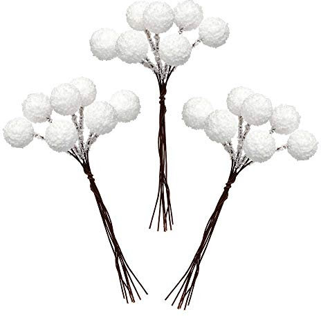 Baker Ross AR946 Baies artificielles Assorties Coloris Assortis