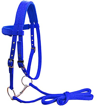 Mooke Bride De Cheval Durable Rêne De Cheval Têtière Licou Épaissi Équipement Équestre Filet Amovible Sangle en Nylon Équipement D'équitation,Bleu,M