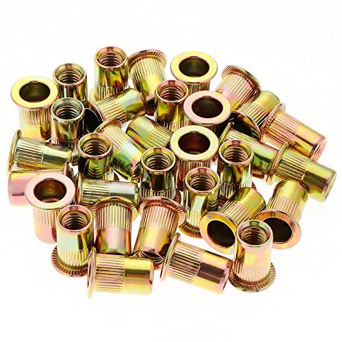 HSEMALL 100Stück Nietmuttern M10,Flachkopf Gewindenieten Blindnietmuttern Einnietmutter für Metall Kunststoff