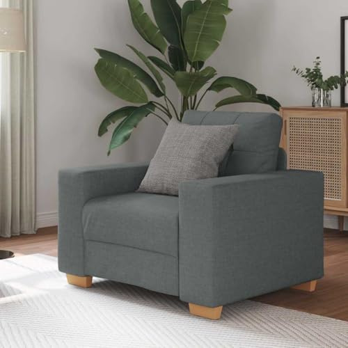 Runheo Fåtölj mörkgrå 60 cm, tygöverdrag polyester, bekväm relaxsoffa för vardagsrum, sovrum, 110 kg lastkapacitet