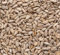 Superpet Premium Sunflower Hearts For Wild Birds (10KG)