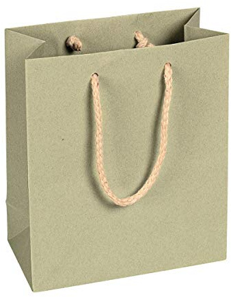 Lot de 12 sacs en papier vert sauge 16 x 19 x 8 cm avec anse en coton
