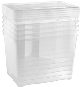 Grizzly Scatole di stoccaggio 5 x 20 L medio alte con coperchio trasparente - scatole trasparenti impilabili con ventilazione