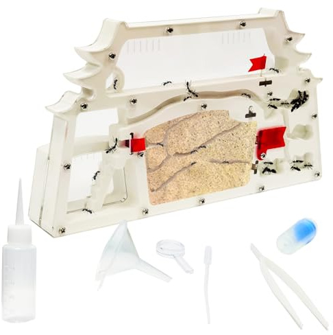 EXBEPE Ant Farm Castle,Ant Colony Habitat Observation Tool Kits,Bug Terrarium House,Nature Learning Toys, Education Science Kit