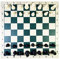 xunfu Portable Jeu Echec Adulte, Rollable Jeu d'éChecs, Jeux de Voyage Echiquier, Jeux de SociéTé Enfant，34x34cm
