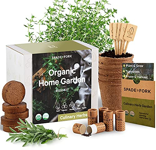 Organic Herb Garden Kit Indoor - Certified Organic & Made in USA | Herb Plants for Women and Men, Indoor Herb Garden Starter Kit, Herb Growing Kit Indoor, Plant Growing Kit, Herb Starter Kit Plant Kit