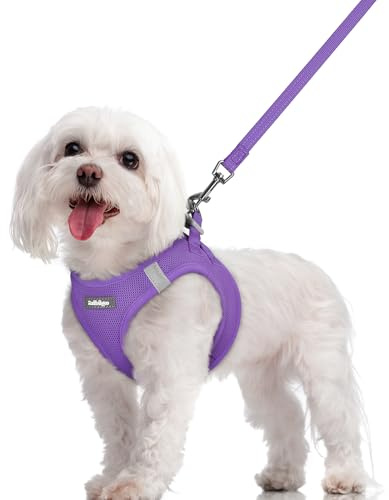 rabbitgoo Harnais Chien Petite Taille avec Laisse 156cm, Violet, M