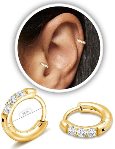 Small Gold Hoop Earrings for Women Men,14K Gold Plated in 316L Surgical Steel Hinge Huggie Hoop Earrings fit Cartilage Helix Tragus Sung Earlobe Lightweight Hypoallergenic Earrings (1 Pair-6mm)