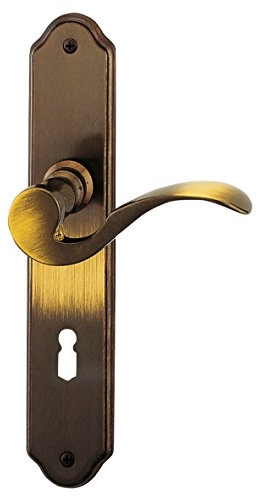 ALPERTEC Nadine Long Plate Door Fittings Door Handle Latch Door Handles on Backplate (1 Piece, 32210740