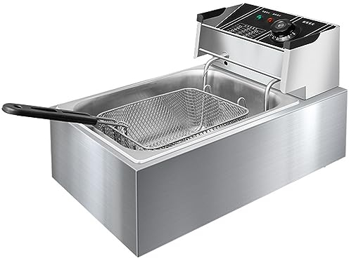 RUYICZB Freidora Eléctrica De Acero Inoxidable, Comercial Patatas Fritas 10L 2500W Freidora Calentamiento Rápido para Restaurantes, Freidora Eléctrica Termostato 60-200℃ con Cesta Uso Doméstico