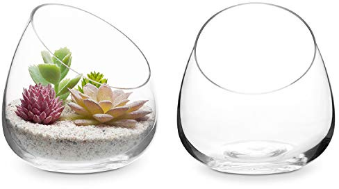 MyGift 5 Inch Premium Clear Glass Air Plant Terrarium, Mini Candy Bowl Jar, Tealight Candle Holder, Succulent Cactus Plant Vase, Set of 2