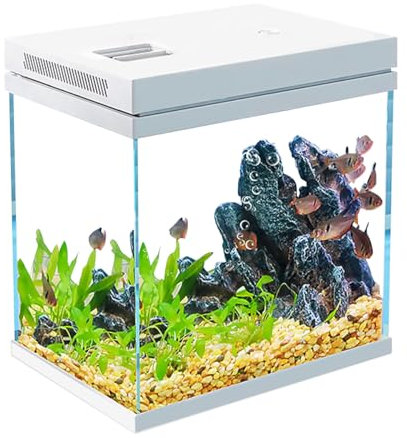 10L Nano Fischtank Aquarium mit LED-Leuchten & Filtersystem,Filtermedien, tropischeAquarien (10L)
