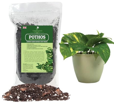 Premium Pothos Potting Soil - Air Cleaning Plant Mix, Soil for Pothos, Parlor Palm, Peace Lily - 2 L Bag