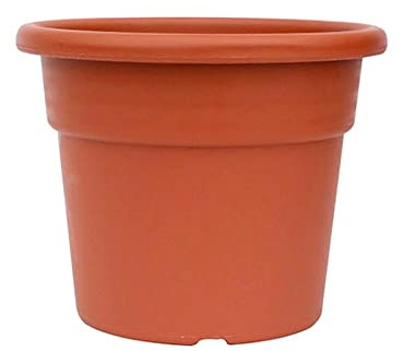 SATURNIA 8096520 8096520-Maceta clásica, 22 x 16 cm, Marrón, 22x22x17 cm