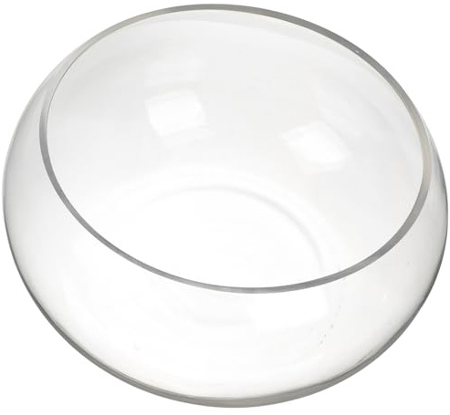 LOORGVEL Durchsichtiges Glas Fischglas 25cm Runde Fischschale mit Hydroponischem Pflanzkasten für Tischdekoration Büro Zuhause