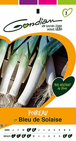 Gondian 153845 Semences-Poireau Bleu de Solaise-CP 1, Blanc, 1x8.1x16 cm