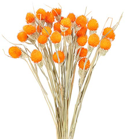 HUAESIN 30pcs Dried Flowers Bouquet Natural Dried Flowers Dried Real Natural Flowers Dried Bundles Artificial Handmade Flowers Fake Flowers for DIY Home Vase Wedding Party Photography Props Decor