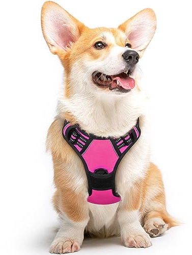 Eagloo Harnais Chien, Harnais Anti Traction pour Chien, Rose Rouge, M