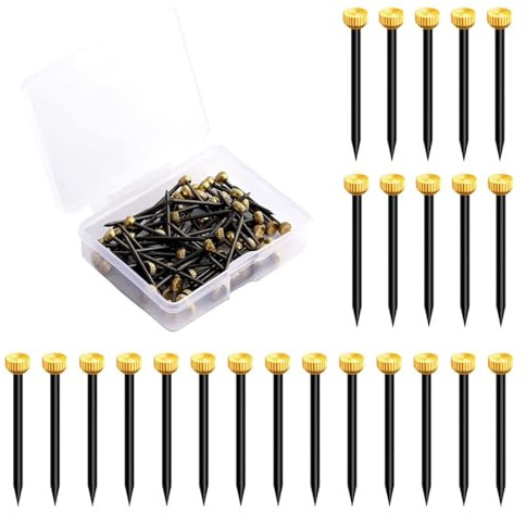 Clou pour images, serti de peintures murales lourdes, matériel de suspension murale pour miroir, ensemble de crochets avec clous pour accrocher des images de cadre photo 100 pièces (25mm de long)