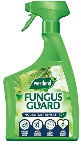 800ml, Fungus Guard Spray, Powerful Anti Fungal Treatment for Plants, Lawns, and Garden Surfaces, Protects Against Mould, Mildew, and Fungal Diseases, Ready to Use Formula