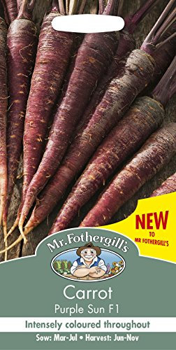 Mr Fothergill's 27325 Vegetable Seeds, Carrot Purple Sun F1, 0.3x7.5x14.5 cm
