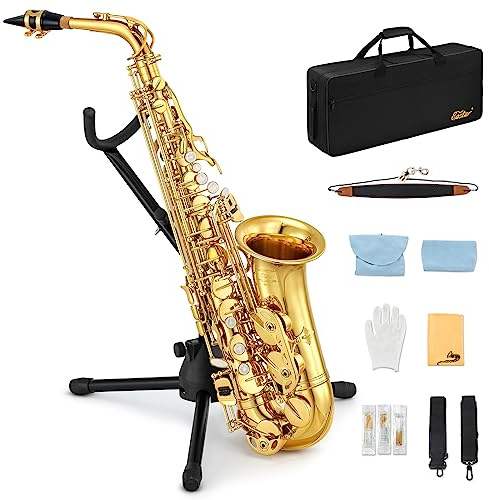 Eastar AS-Ⅱ Student Alto Saxophone E Flat Beginner Sax Full Kit, Carrying Case, Mouthpiece, Straps, Reeds, Stand, Golden Lacquer