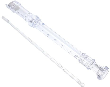 TOYANDONA 8loch Kunststoffblockflöte Mit Löchern Traditionelle Flöte Aus Abs-harz Blasinstrument Mit Reinigungsstab Und Handbuch