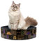 Happy&Polly Kratzbrett Rund aus Qualitäts-Pappe- 2 in 1 Doppelseitig Verwendbar Kratzmatte Katze Spielzeug Kratzmöbel Naturmaterial für Schlafen/Spielen/Kratzen - Schwarz