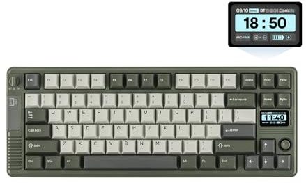 EPOMAKER RT85 trådlöst mekaniskt tangentbord med joystick och gör-det-själv-skärm, 8 000 mAh, BT/USB/2,4 Ghz, Hotswap, PBT-tangenter, krämig gasket, 75 % speltangentbord, US QWERTY (armégrön, Wisteria