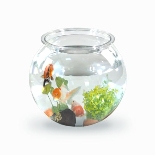 Mobiclinic® Pets, Kugelaquarium, Nemo, 4 Liter, Pet eco Kunststoff, Transparentes Design, 20x20x17, 5cm, Leicht zu reinigen, Robust, Ideal zur wohnungsdekoration, Wasserpflanzen