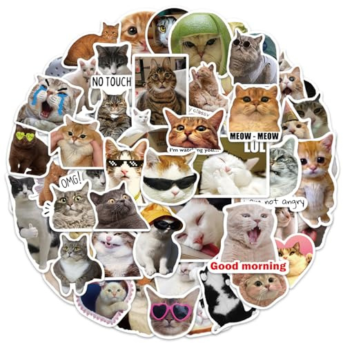 Roliga kattklistermärken 50 stycken, roliga meme cat klistermärken set för laptop vattenflaska resväska bagage skateboard hjälm mobiltelefonfodral dagbok, vinyl graffitiklistermärken för vuxna