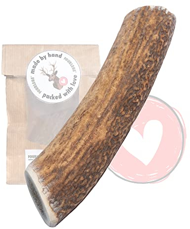 FOURLEGS® natürlicher Kausnack für Hunde aus 100% Hirschgeweih - Mineralstoffe, Kauspielzeug, Kaustange, Wildgeschmack, Geweih, Knochen, Hirsch, Kauartikel - Größe XL ganz