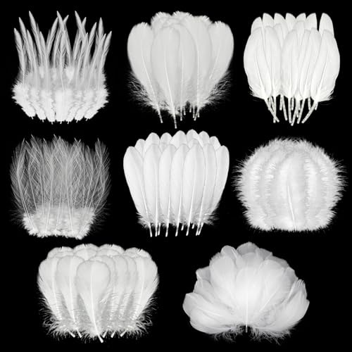 300Pcs White Feathers for Crafting 8 Styles Pheasant Craft Feathers