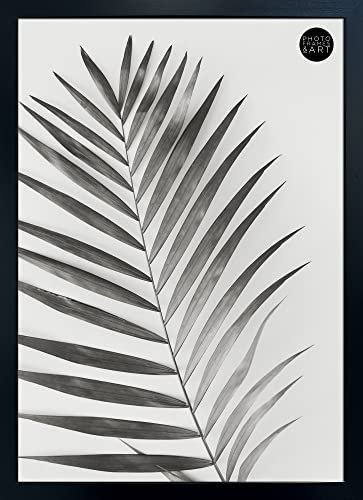 pf+a Styrene Window Wide Black Frame For 50x70cm Poster - Perspex Window - 70x50cm Black Poster Frame