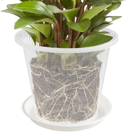 Ylnailky Pot à orchidées | Pots à orchidées avec trous et soucoupe pour rempotage | Pot de fleurs transparent pour la maison, le jardin, le salon, la cuisine, la terrasse